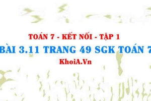 Bài 3.11 trang 49 SGK Toán 7 tập 1 Kết nối tri thức